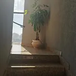 Apartment Brigida 5 Bari